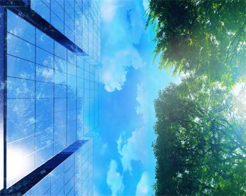 品一品台湾周仁智大师制作的东方美人茶#台湾