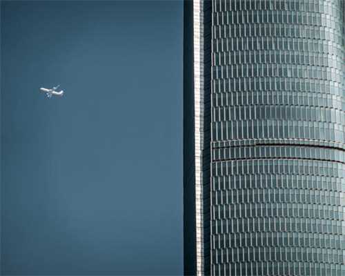 黄菊、白菊、野菊,泡茶用哪种好?作用其实大不同,你别选错了