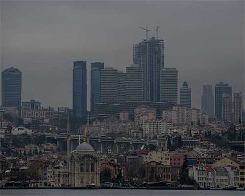 江口县桃映镇“三个加法”助推生态油茶之乡建设