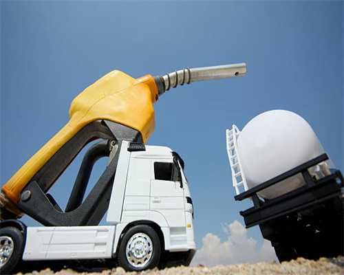 西藏红花茶测评：高原特产，香气醇厚！