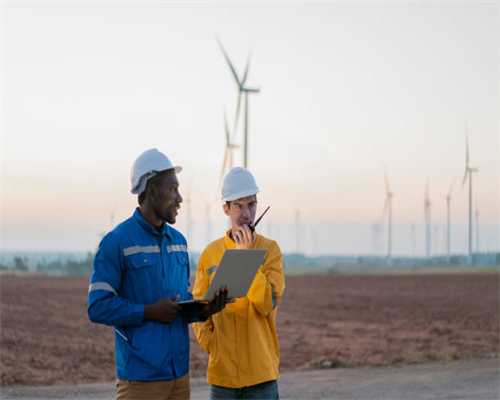 喝甘菊茶是否真有助睡眠？美媒：从科学上讲尚无定论