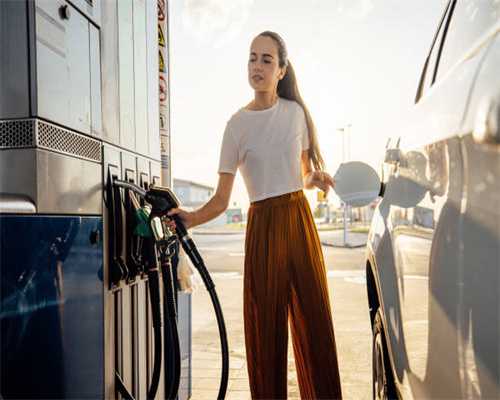 岩茶高货——御上茗｜当家作主