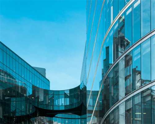 盘点七个名贵茶花品种，各个争奇斗艳，颇有王者风范