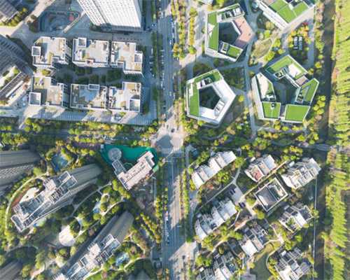 千年奶茶文明的交融之旅