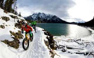 正山小种多少钱一斤?