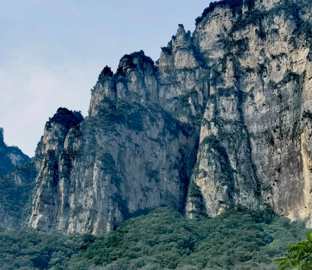 去岳麓书会“赶集”,开启一场有关阅读的城市行走