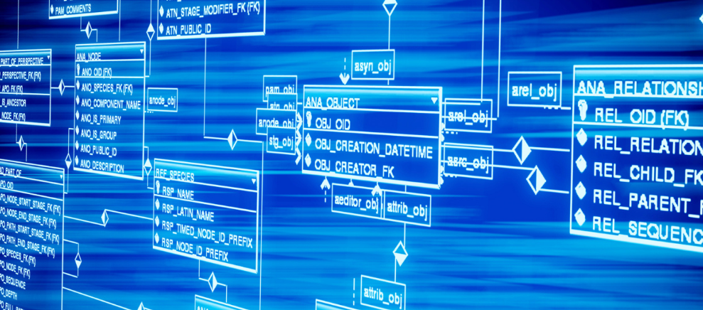 讲好“茶故事”小叶子做成大产业