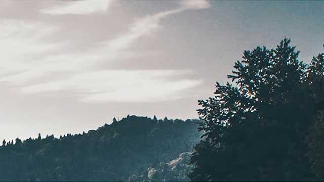 普洱茶揭秘:老班章值得购买么?怎样不成为怨种与不交智商税?