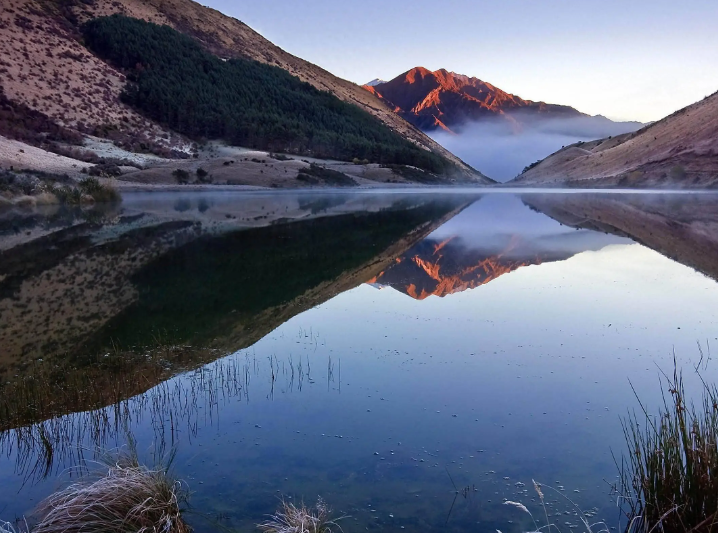 红茶具有什么养生效果